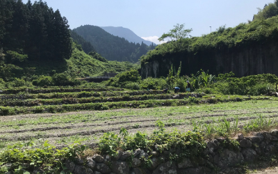 内観:太陽農園